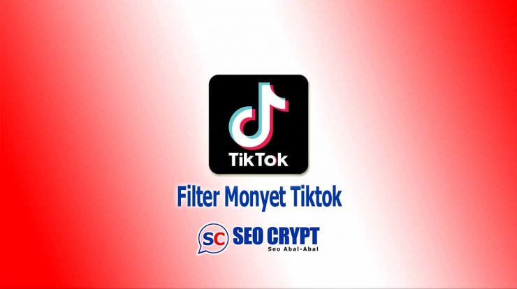 Apk-Filter-Monyet-Tiktok-2